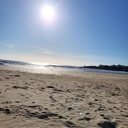 Appartement Le Petit Platane Royan