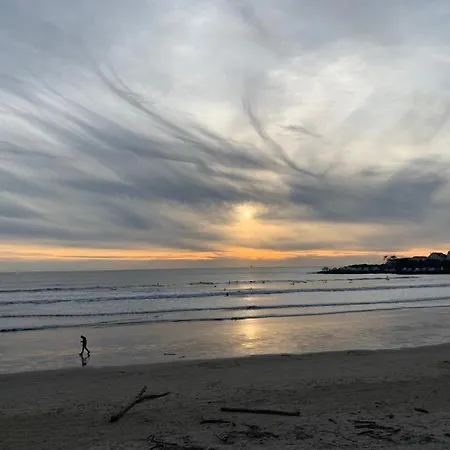 Le Petit Platane Royan