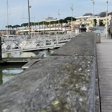 Le Petit Platane *