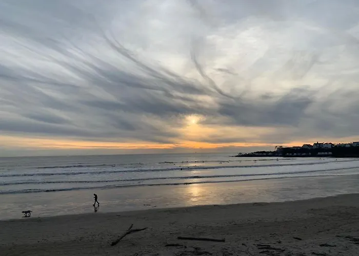 Le Petit Platane Руайян